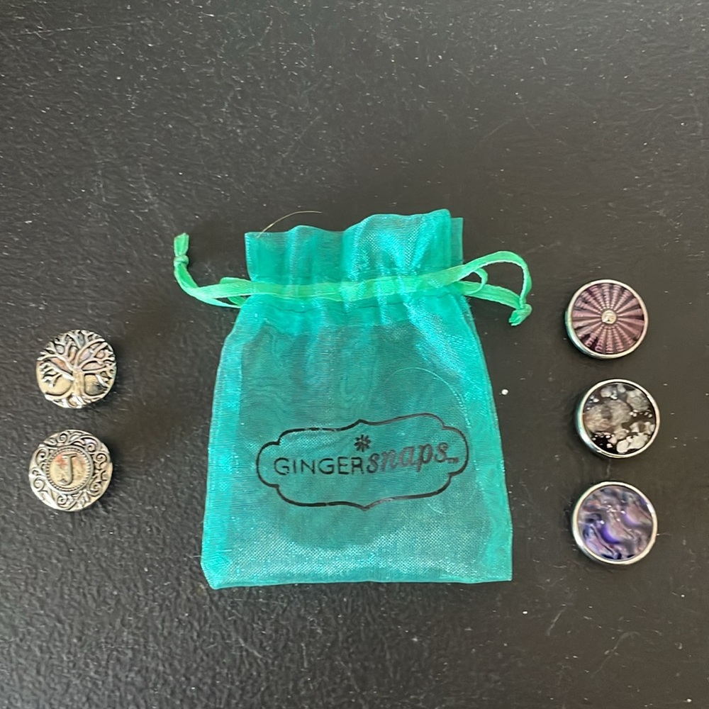 Gingersnaps & Co set of 5 snaps w/FREE leather snap bracelet‼️